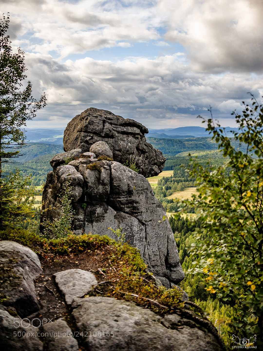 Nikon D700 sample photo. Nature #15 photography