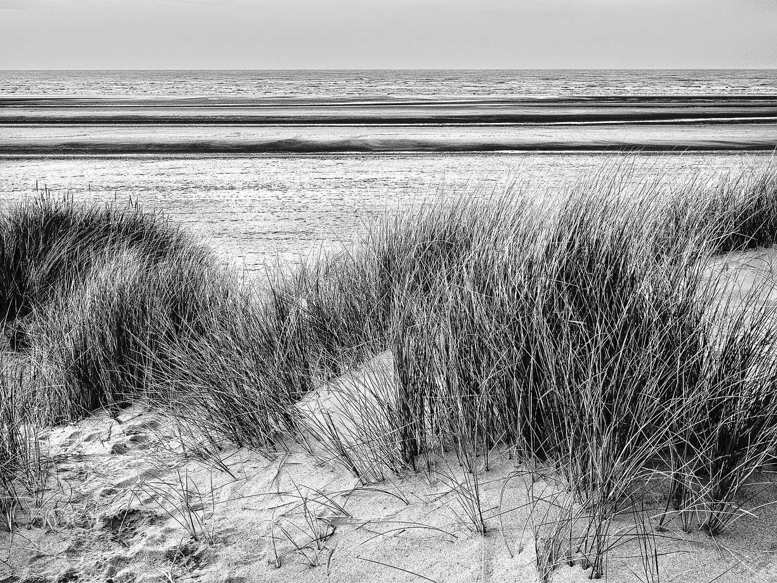 Olympus OM-D E-M5 II sample photo. Formby beach, lancashire photography