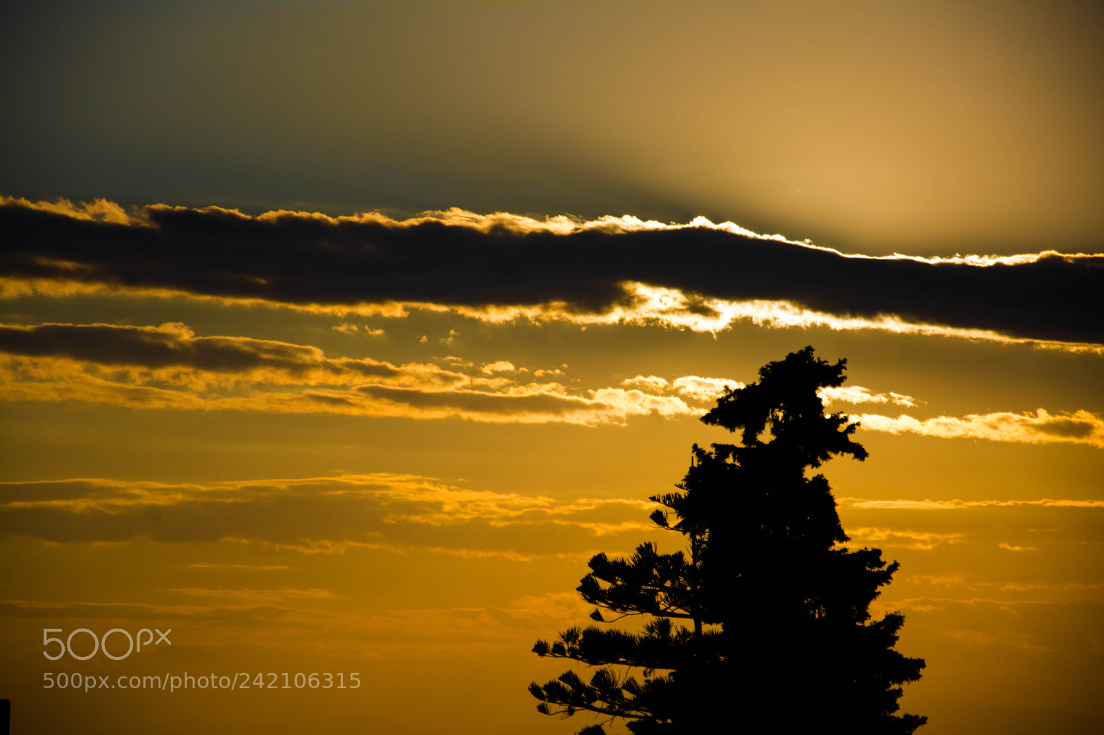 Nikon D7100 sample photo. Sunset photography