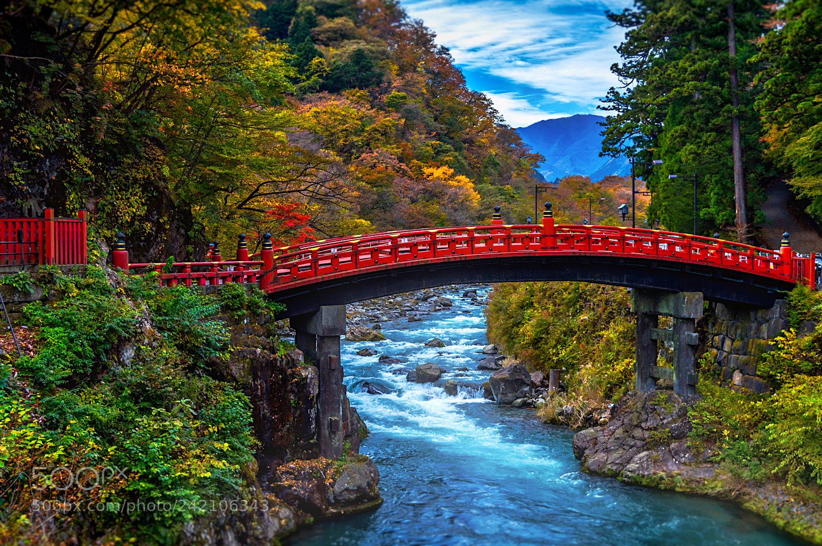 Nikon D3200 sample photo. Shinkyo photography