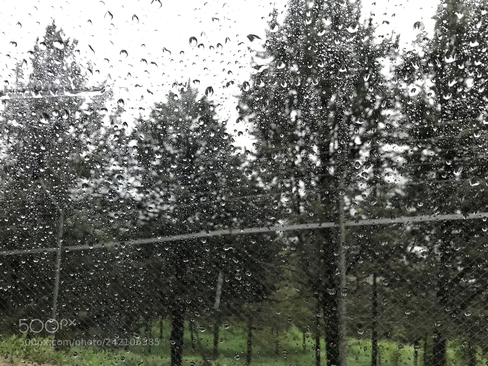Apple iPhone 7 sample photo. Rain photography