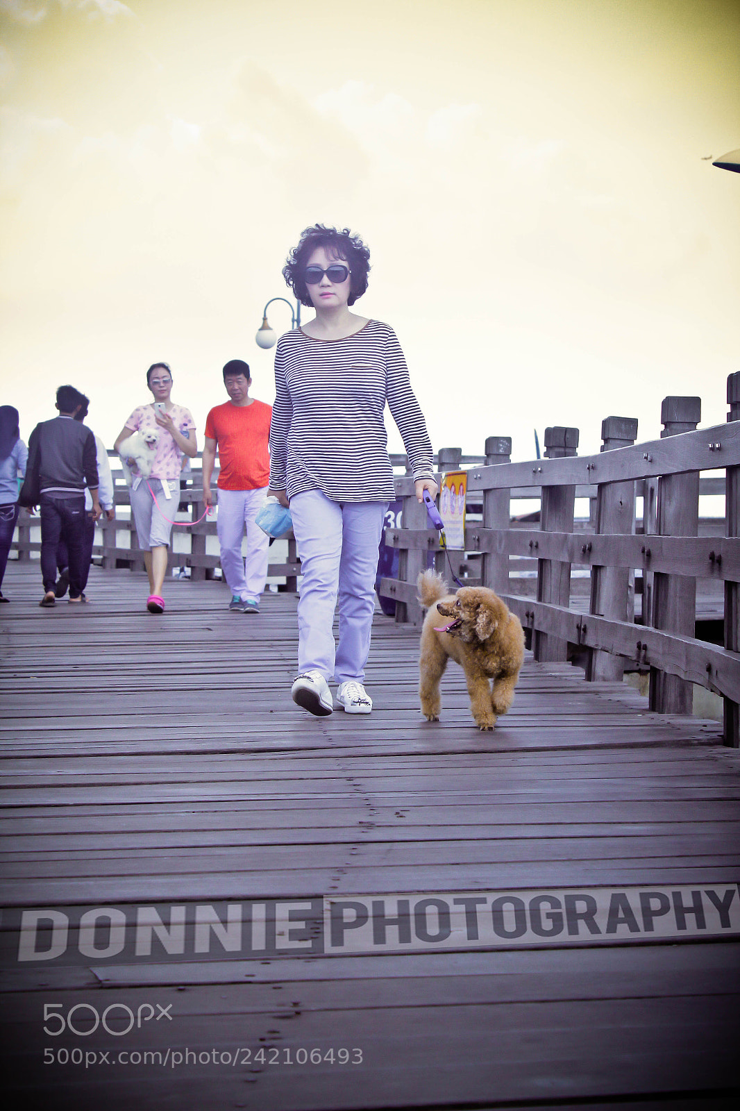 Canon EOS 1200D (EOS Rebel T5 / EOS Kiss X70 / EOS Hi) sample photo. Taking my dog for photography