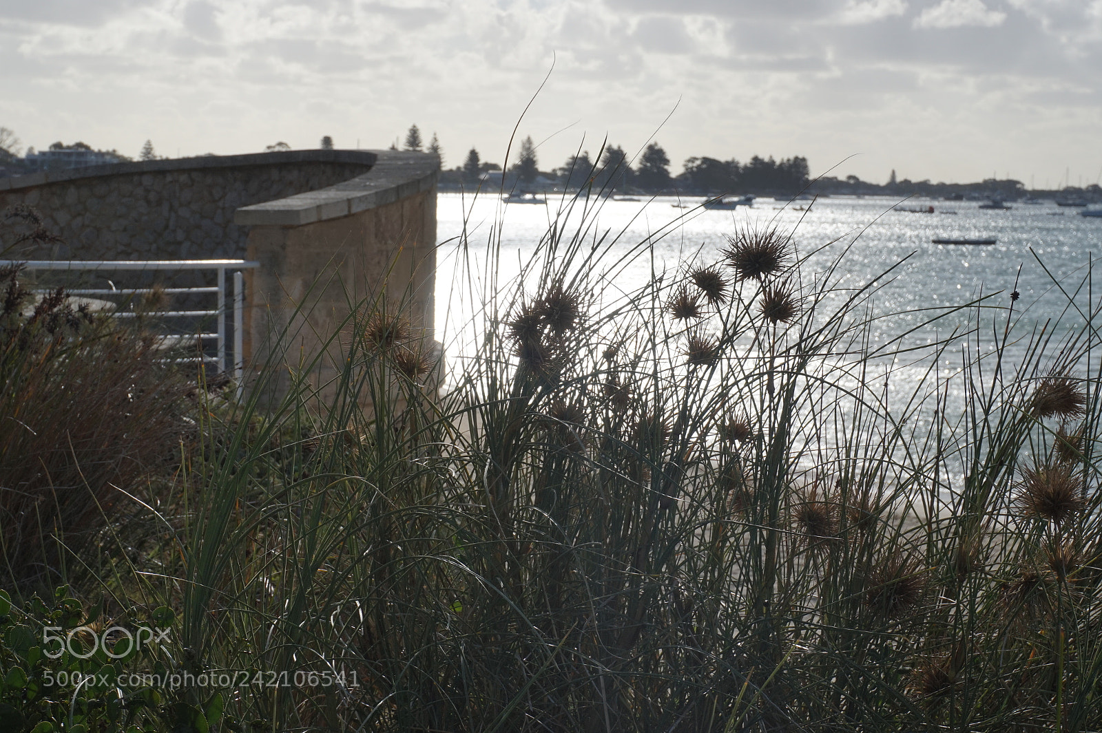 Sony Alpha a5000 (ILCE 5000) sample photo. Dsc photography