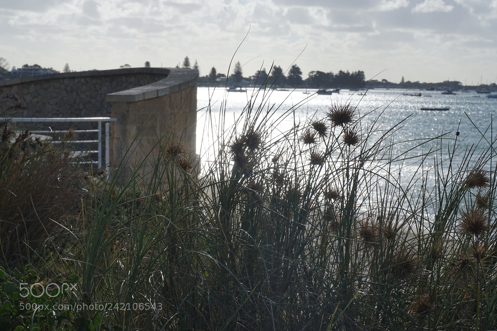 Sony Alpha a5000 (ILCE 5000) sample photo. Dsc photography