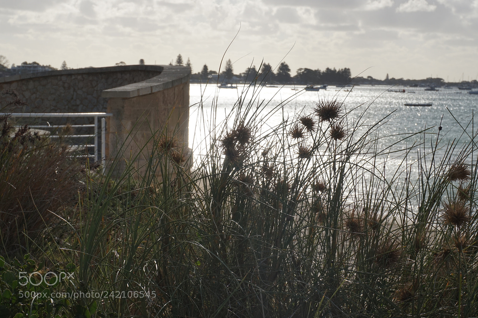 Sony Alpha a5000 (ILCE 5000) sample photo. Dsc photography