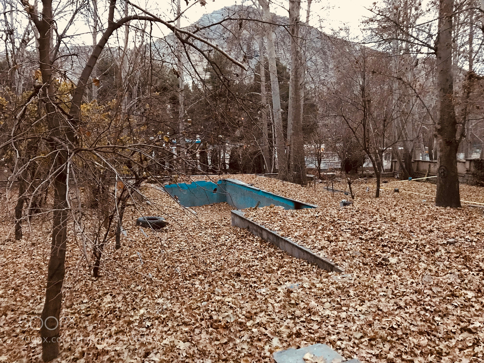 Apple iPhone 7 sample photo. Autumn photography