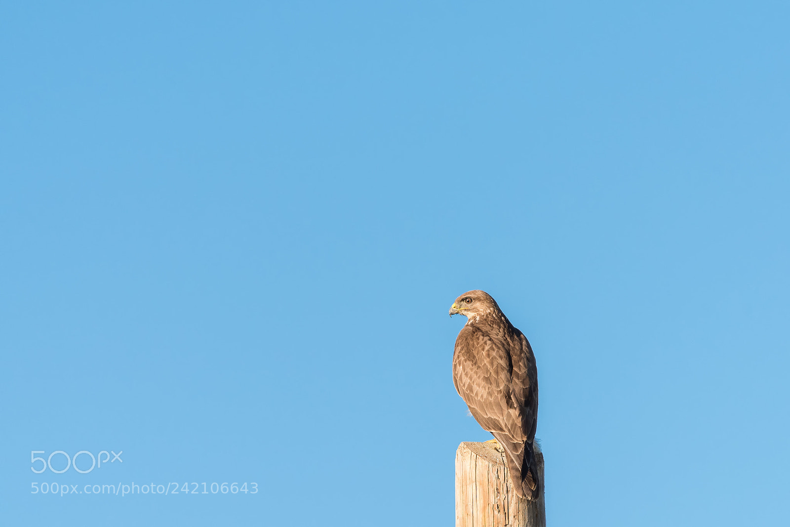 Nikon D810 sample photo. 10.jpg photography