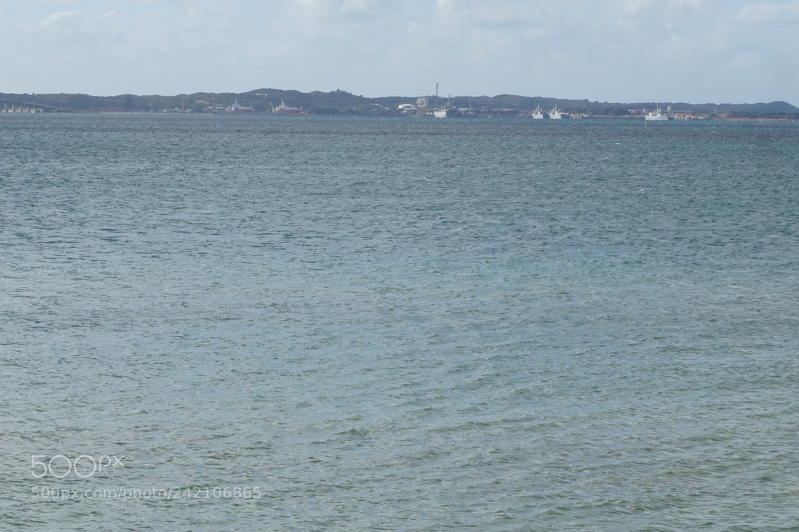 Sony Alpha a5000 (ILCE 5000) sample photo. Dsc photography
