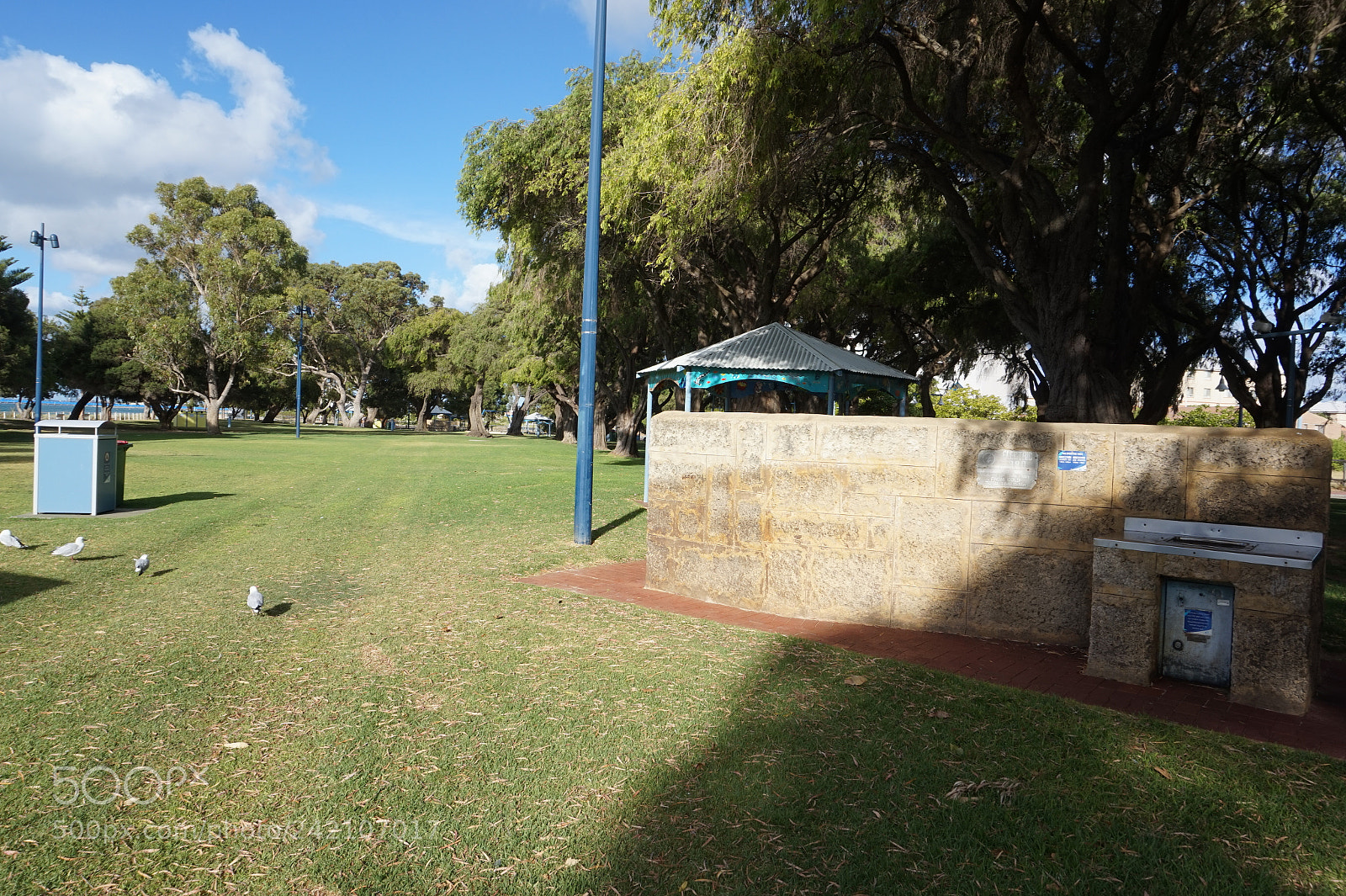 Sony Alpha a5000 (ILCE 5000) sample photo. Dsc photography