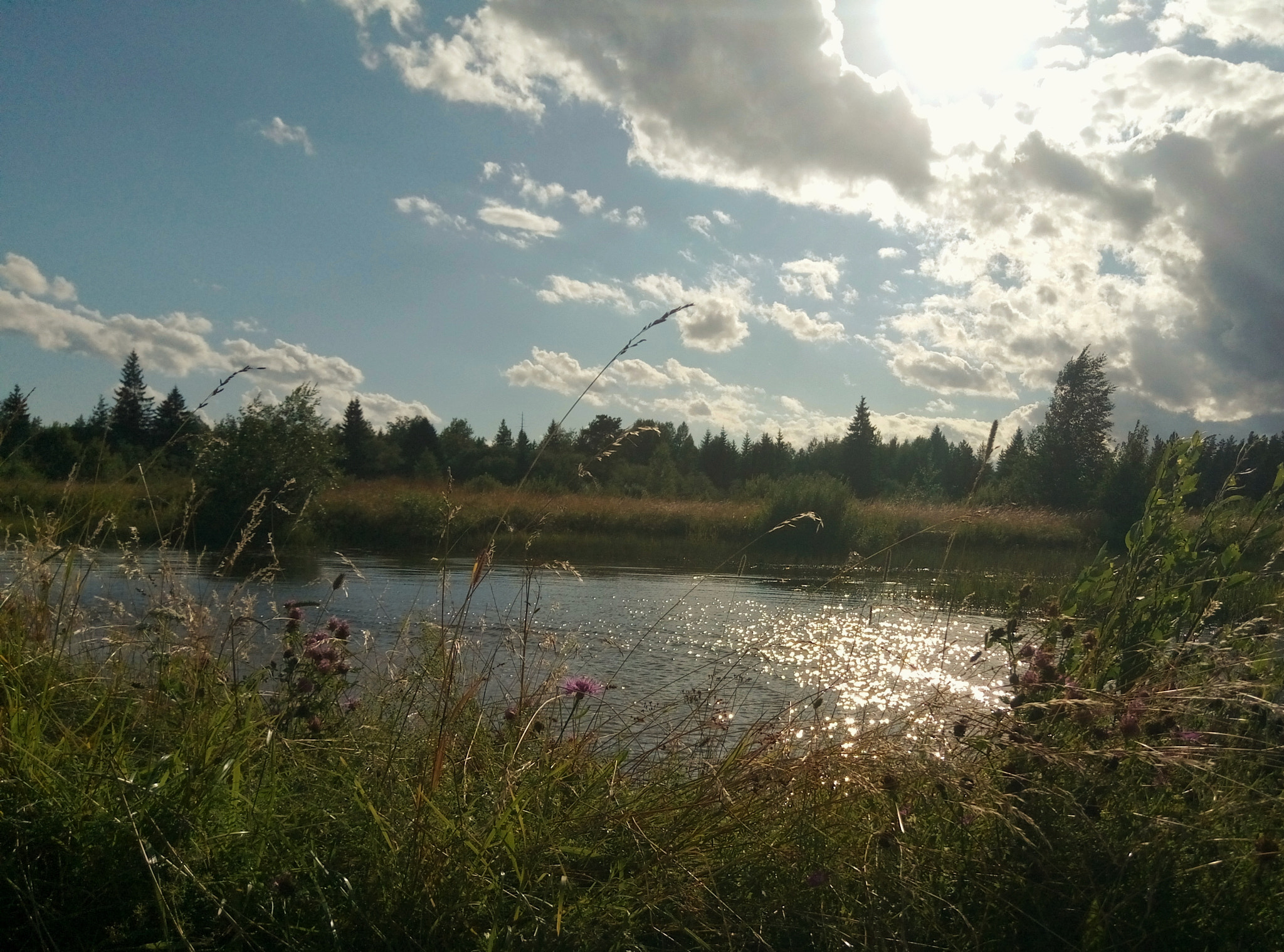 Meizu M3s sample photo. Summer lake photography