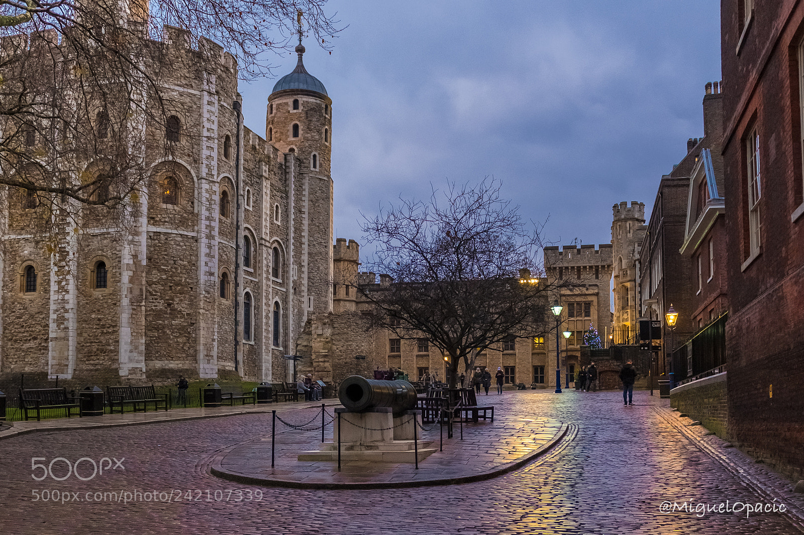 Nikon D5 sample photo. Tower of london photography