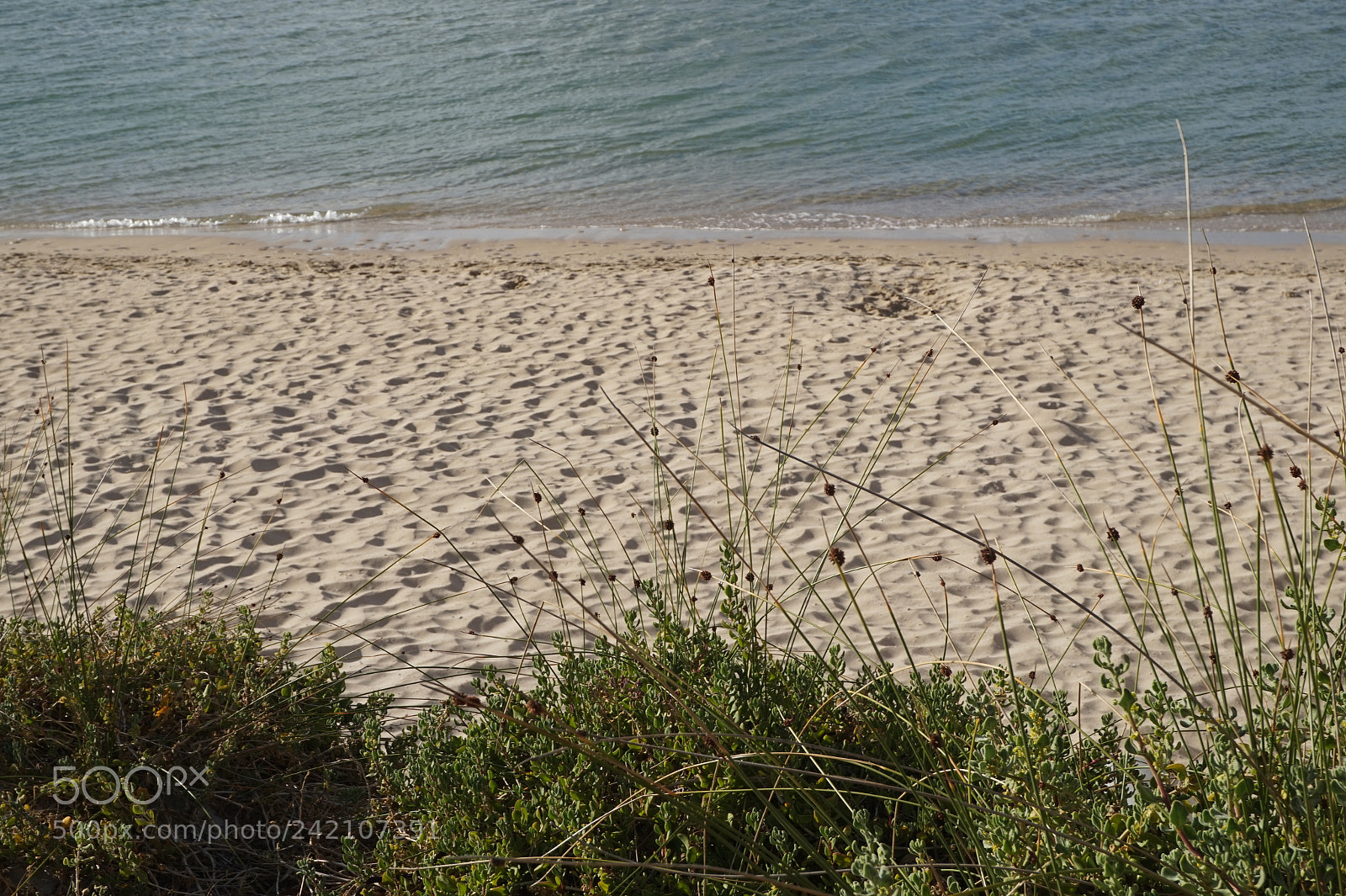 Sony Alpha a5000 (ILCE 5000) sample photo. Dsc photography