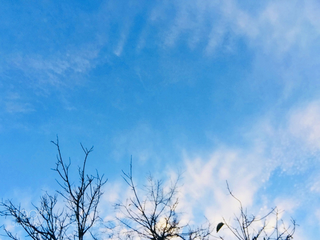 Apple iPhone 6 sample photo. Coolnes mind photography