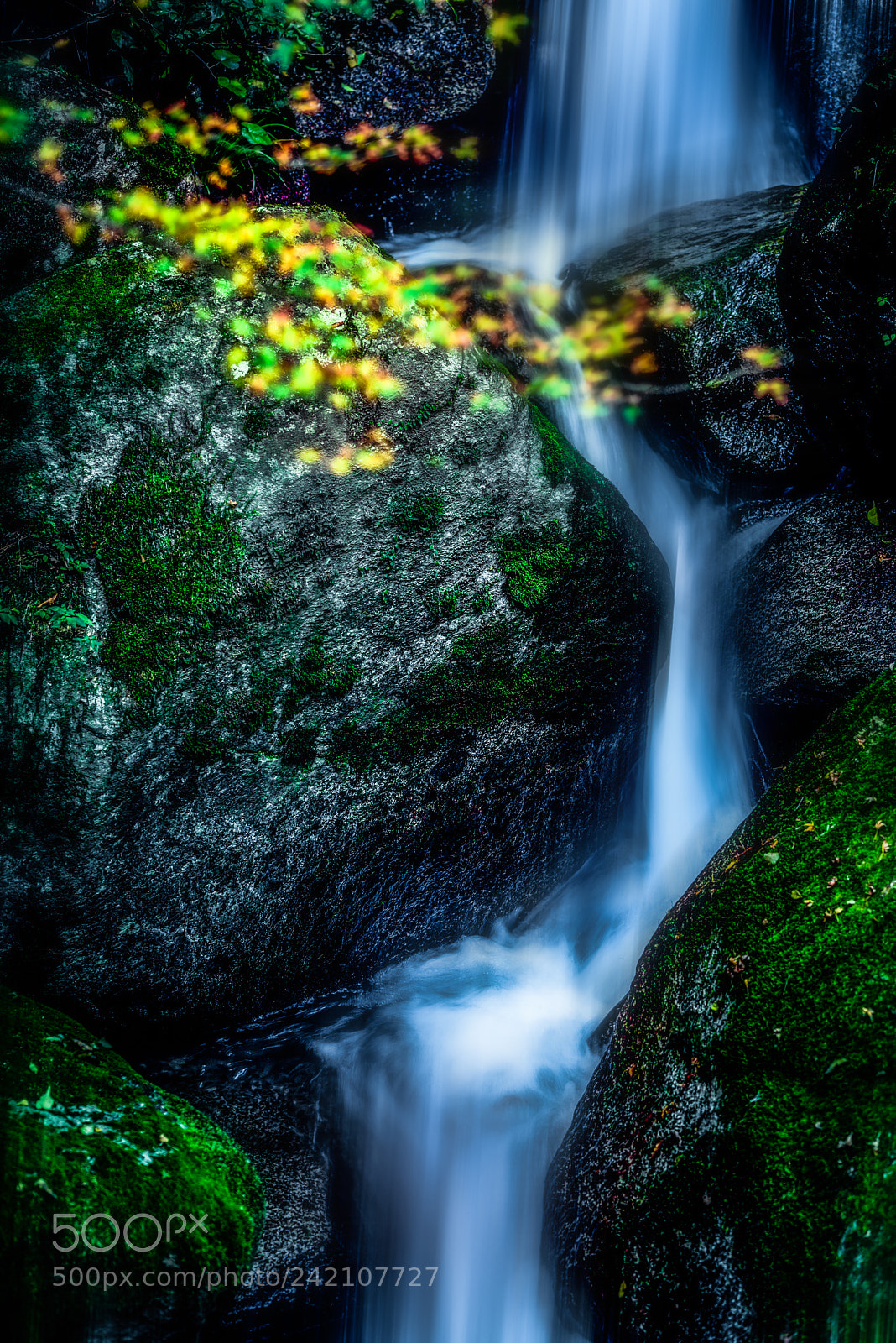 Nikon D810 sample photo. Clear photography