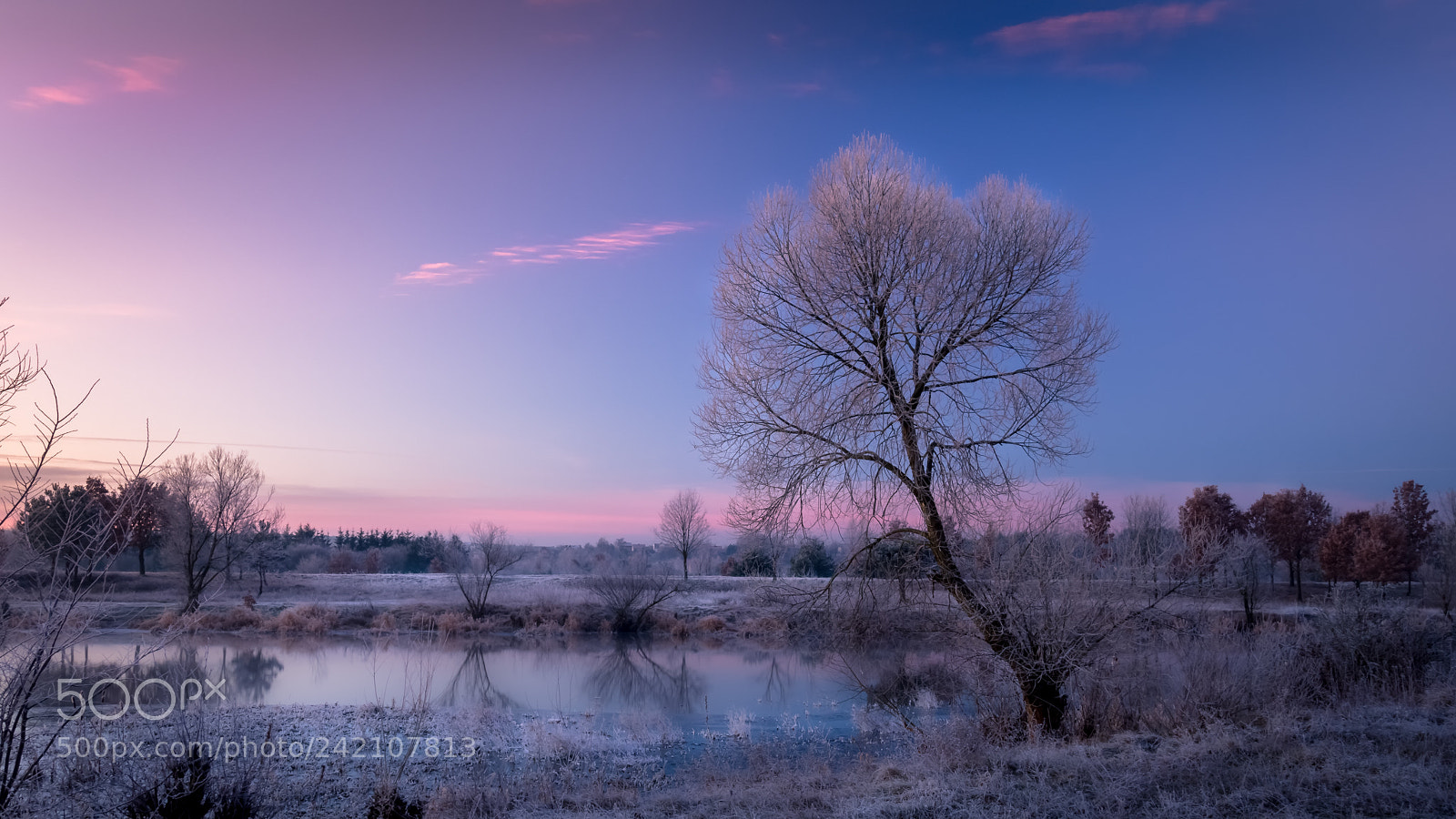 Olympus PEN E-PL6 sample photo. Winter morning photography