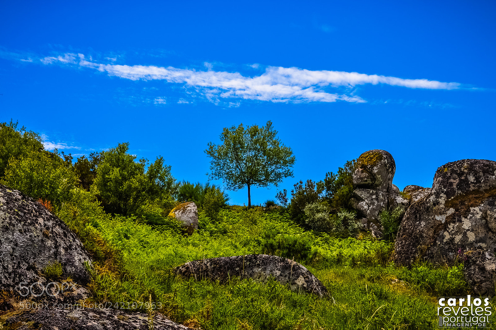 Nikon D5000 sample photo. A paisagem perfeita photography