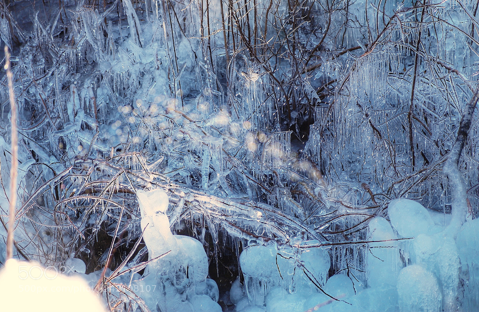 Canon EOS 6D Mark II sample photo. 氷の世界。 photography