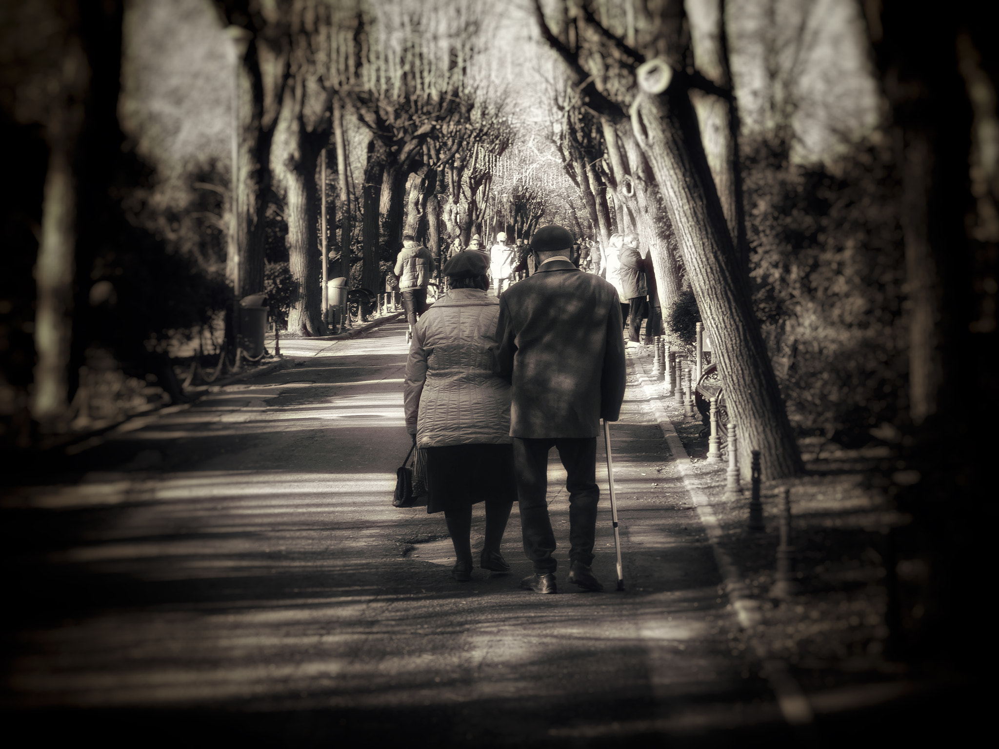 Panasonic DC-FZ81 sample photo. Togetherness photography