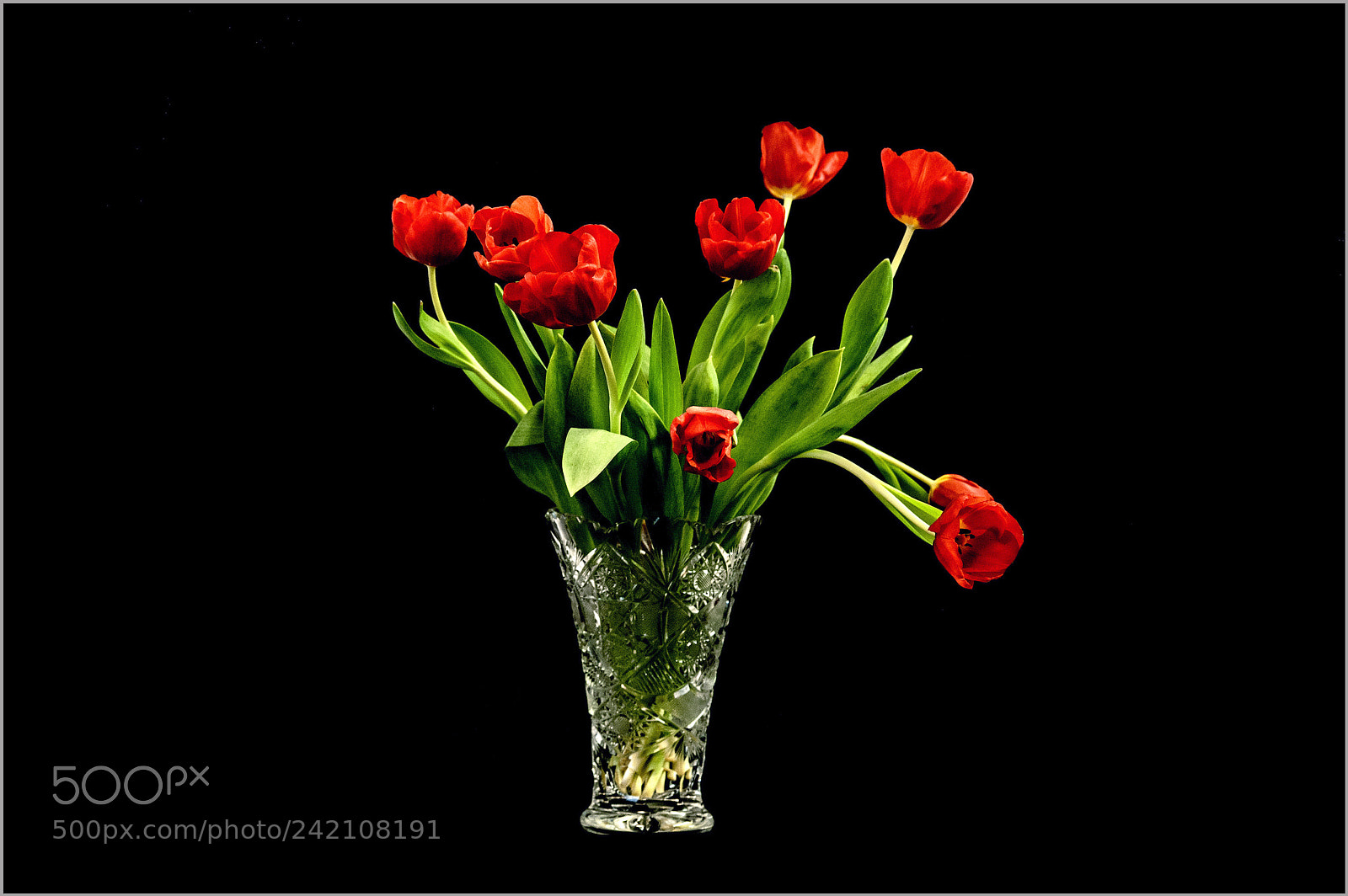 Nikon D700 sample photo. *** photography