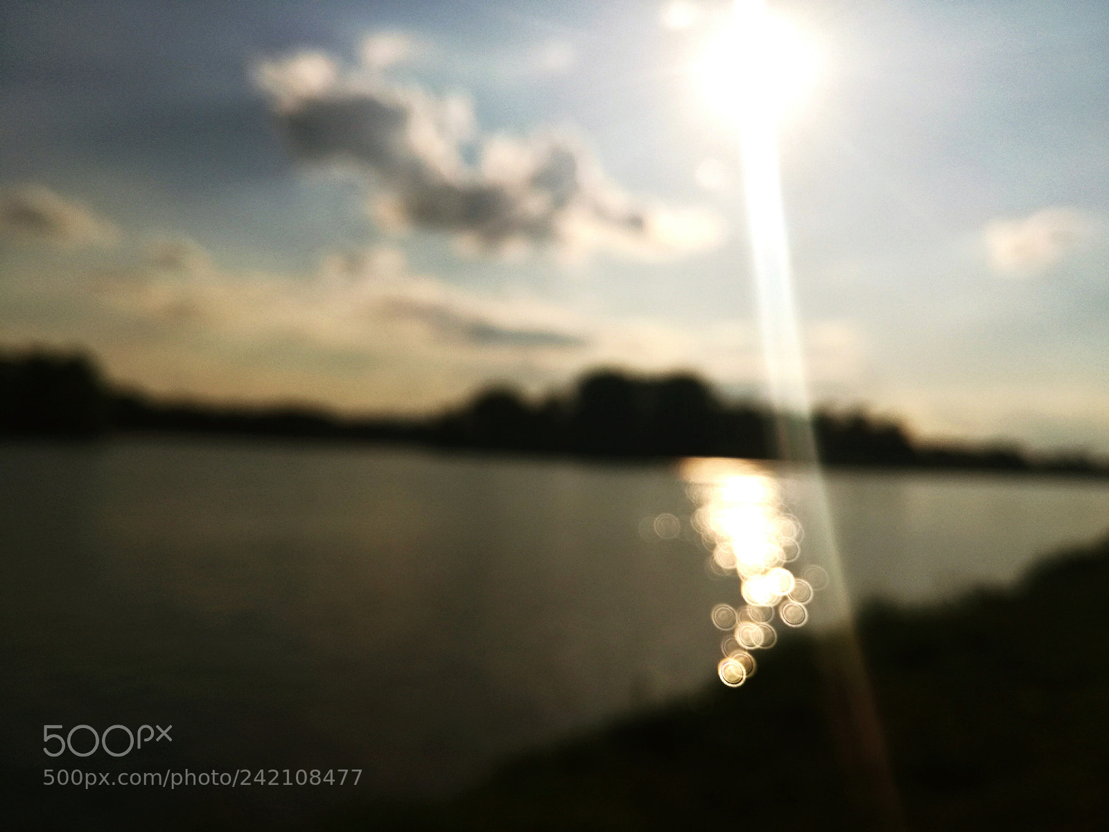 HUAWEI P9 LITE sample photo. Out of focus photography
