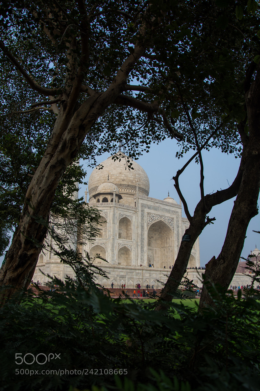 Nikon D7100 sample photo. Taj mahal photography