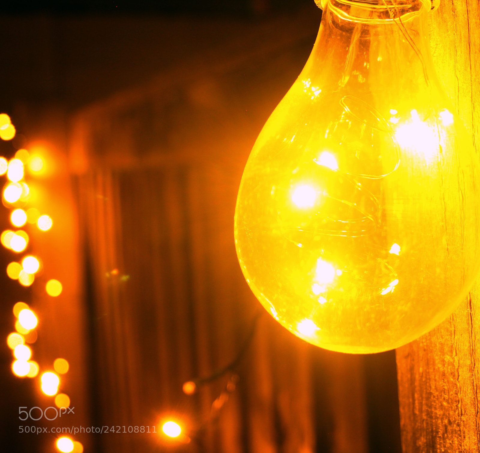Canon EOS 1000D (EOS Digital Rebel XS / EOS Kiss F) sample photo. Light bulb photography