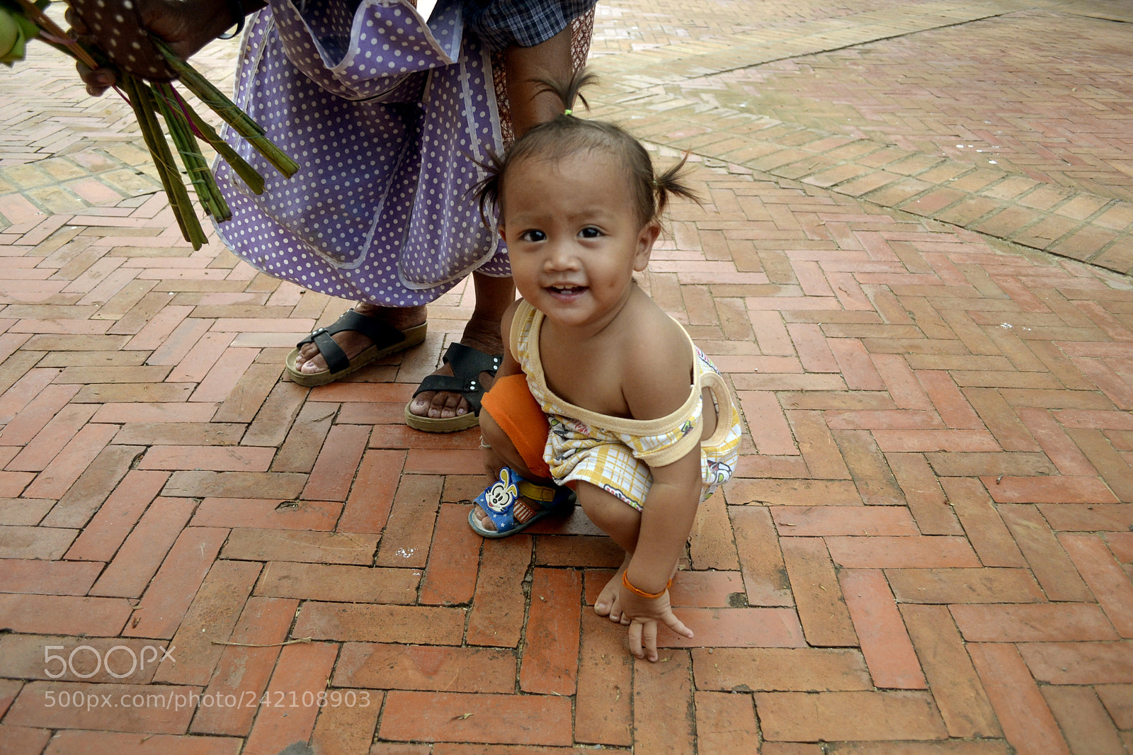 Nikon D3100 sample photo. 567.. photography