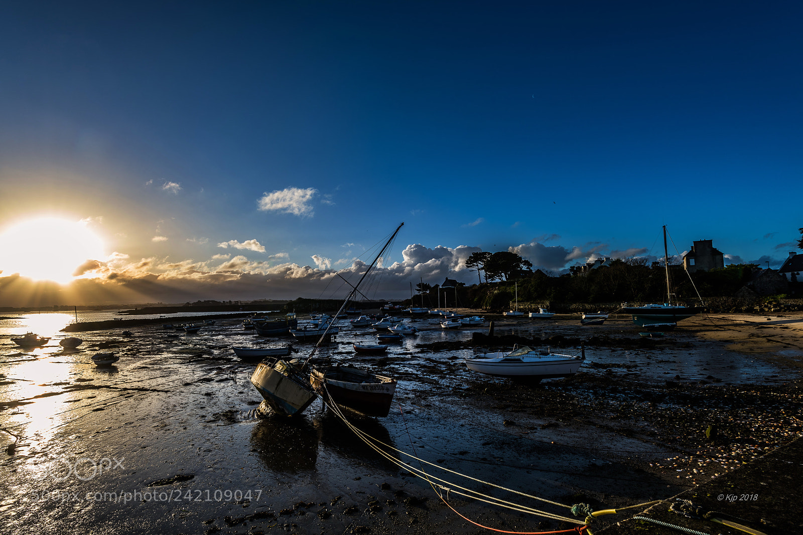 Nikon D850 sample photo. Ile de batz 20180111  matin photography