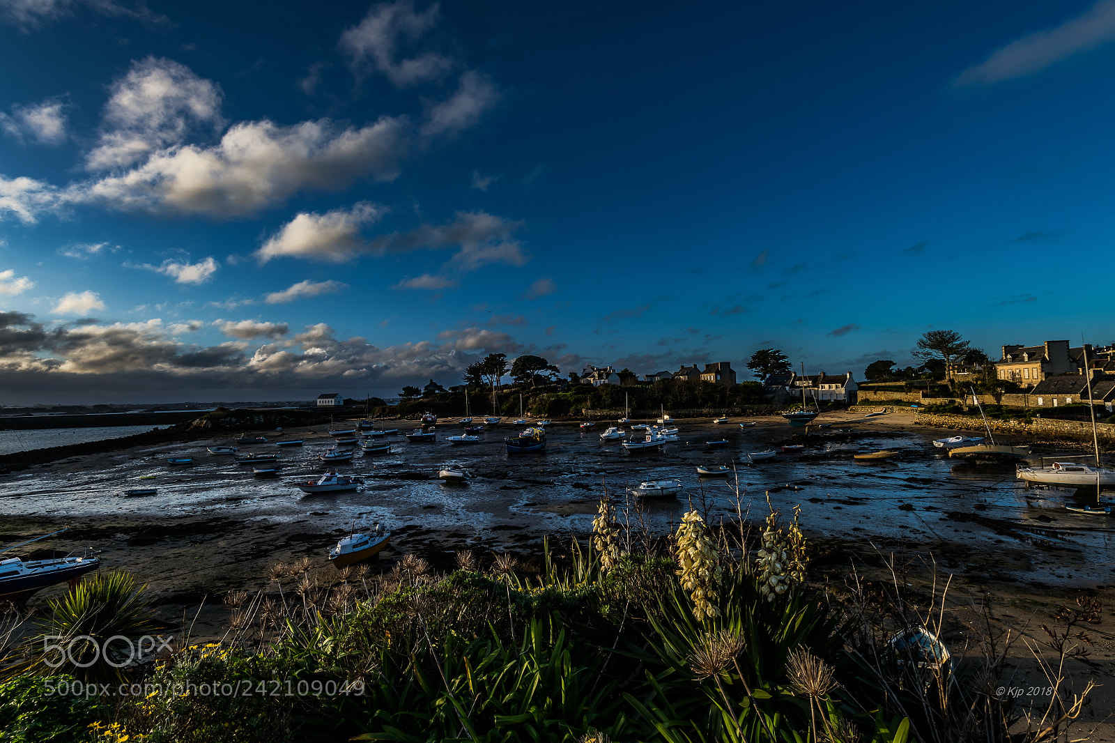 Nikon D850 sample photo. Ile de batz 20180111  matin photography