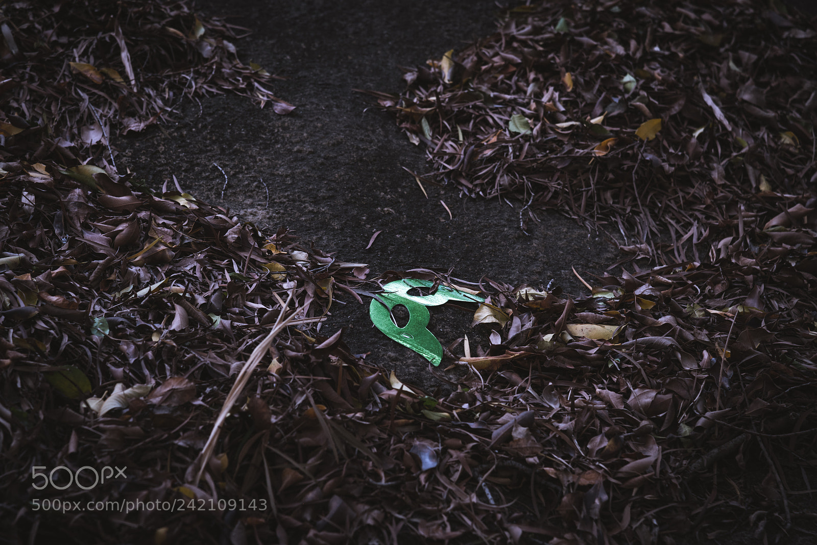 Nikon D810 sample photo. Take off your mask photography