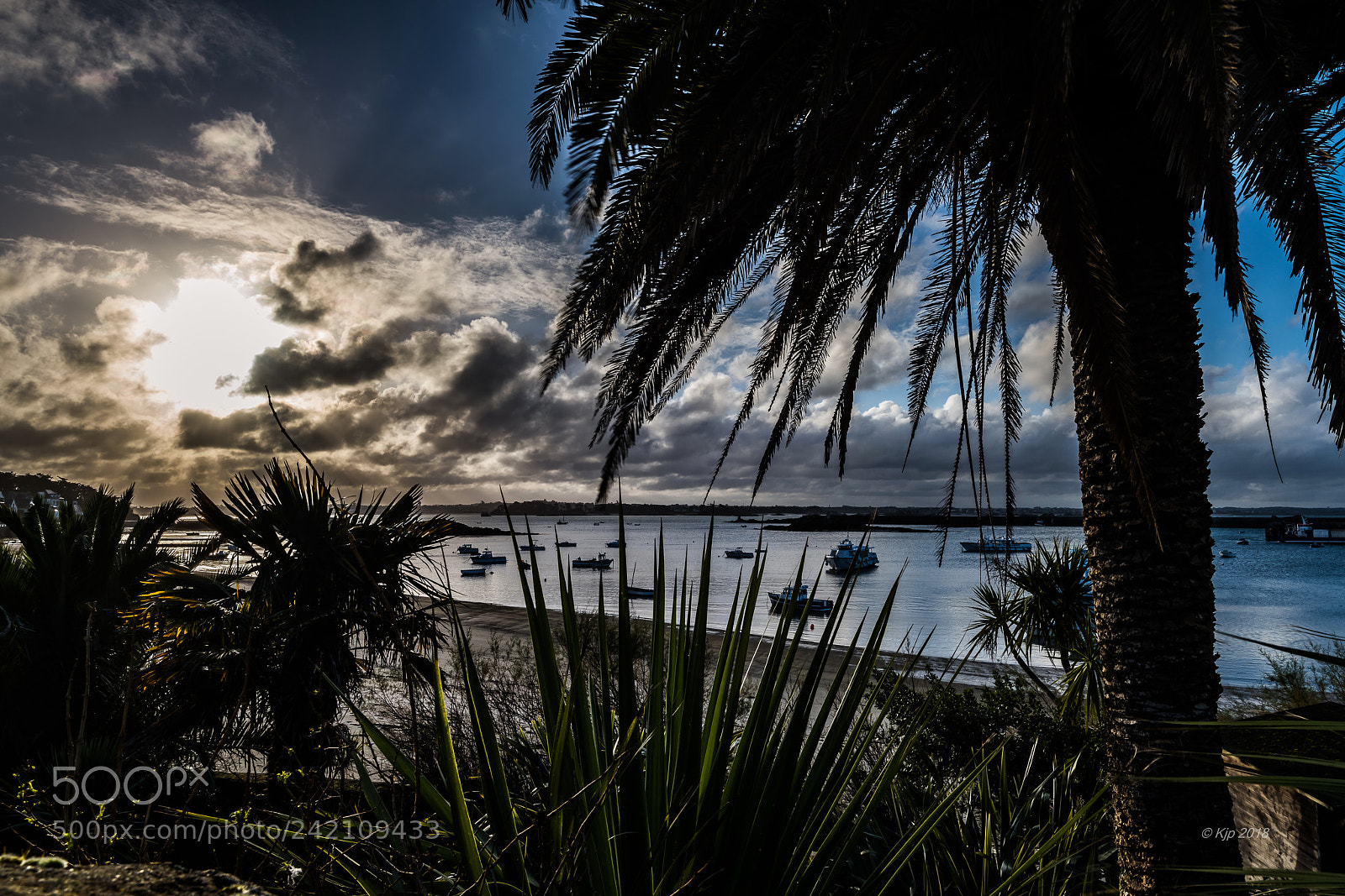 Nikon D850 sample photo. Ile de batz 20180111  matin photography