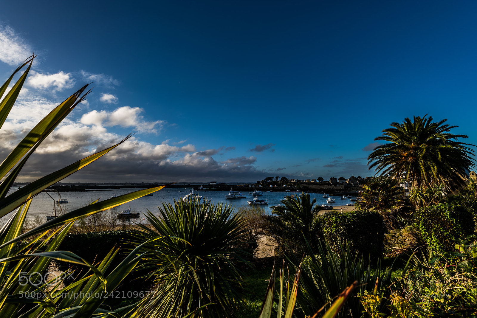 Nikon D850 sample photo. Ile de batz 20180111  matin photography
