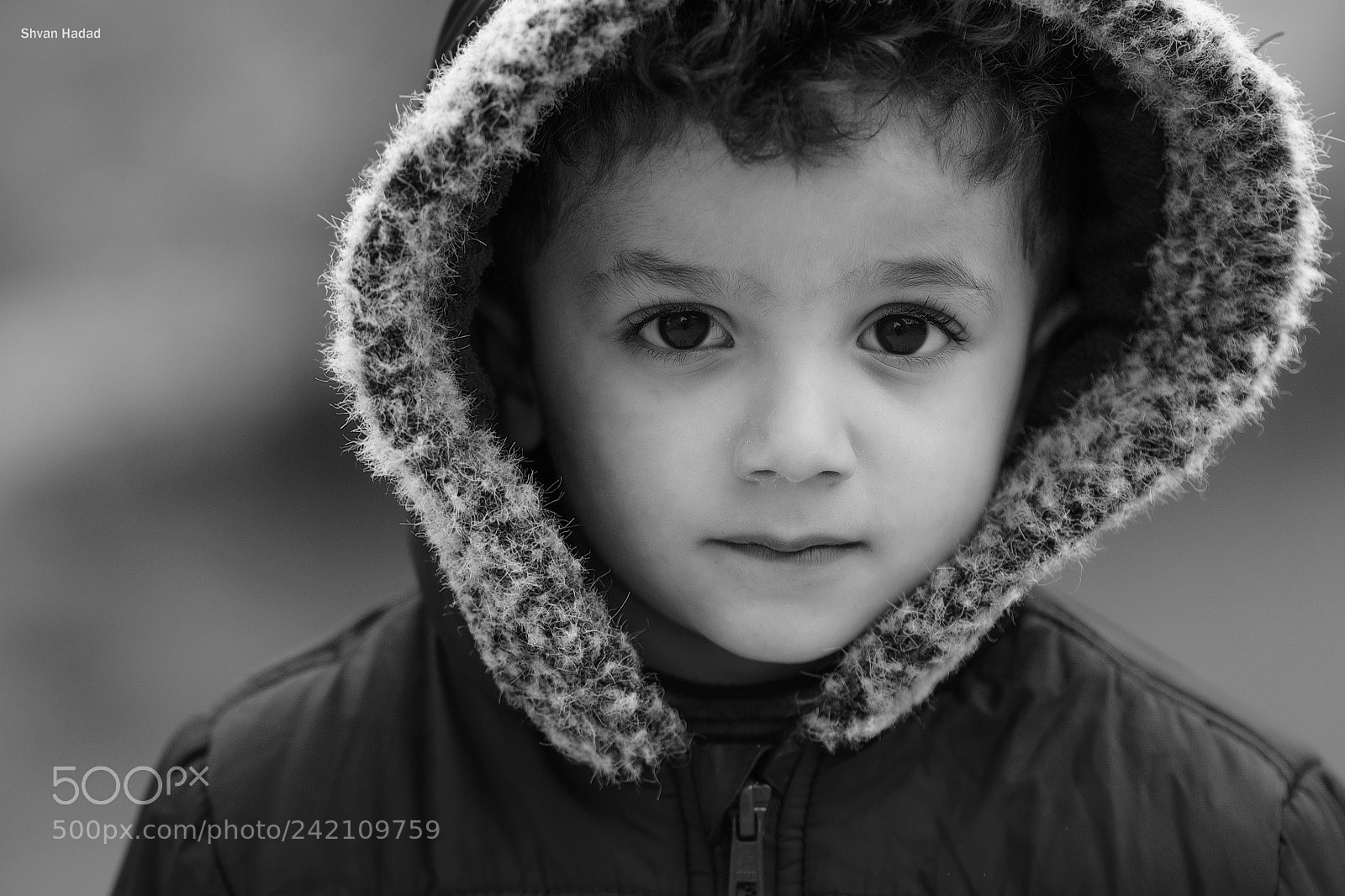 Nikon D500 sample photo. Untitled photography