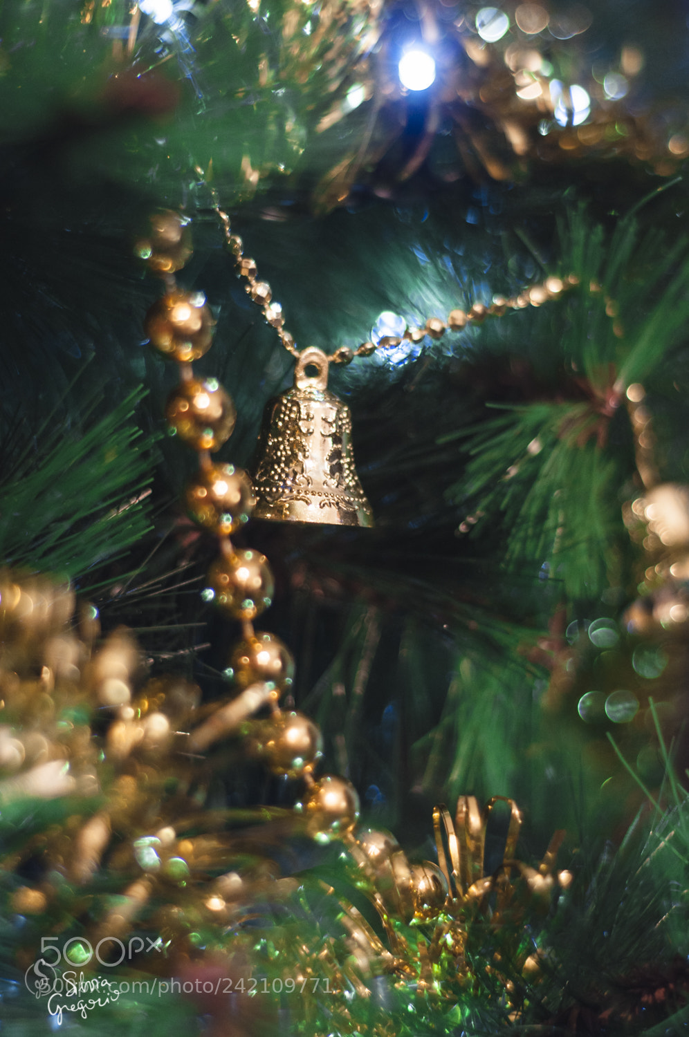 Nikon D90 sample photo. Christmas tree ? photography