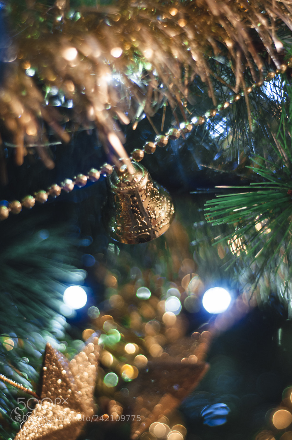 Nikon D90 sample photo. Christmas tree ? photography