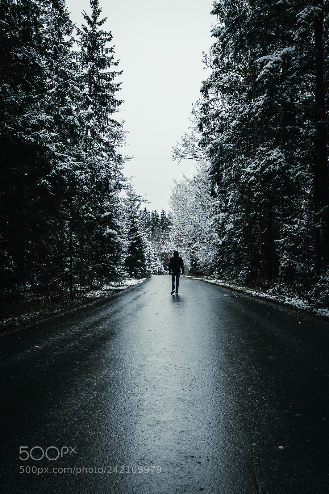 Canon EOS 1300D (EOS Rebel T6 / EOS Kiss X80) sample photo. Winter vibes photography