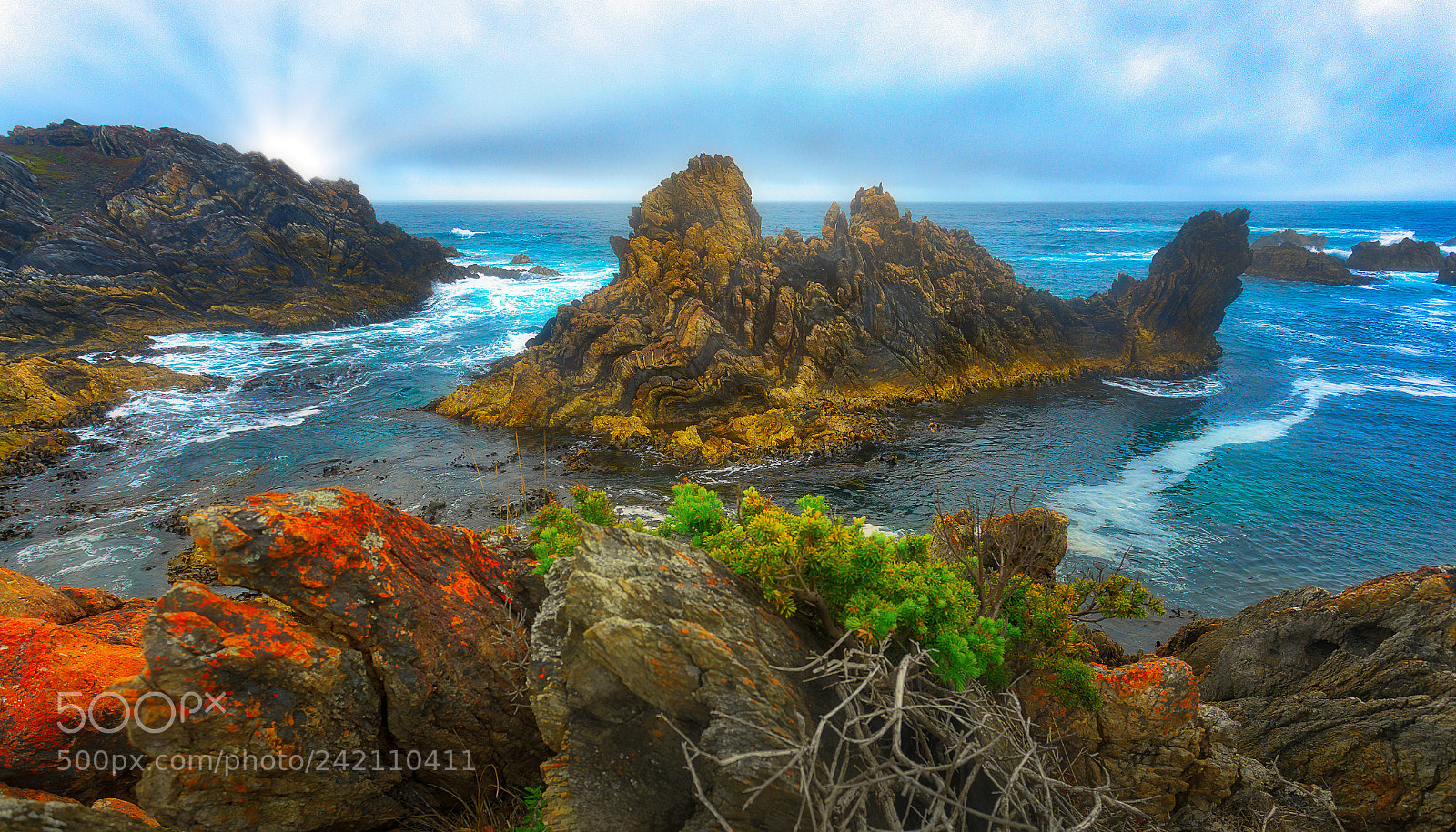 Sony a7R sample photo. Tasmania photography