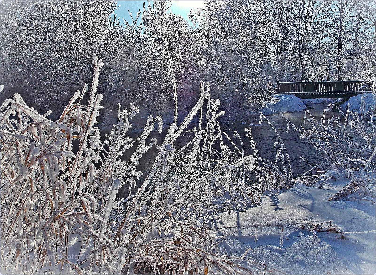 Nikon Coolpix L810 sample photo. Rime and sunlight photography