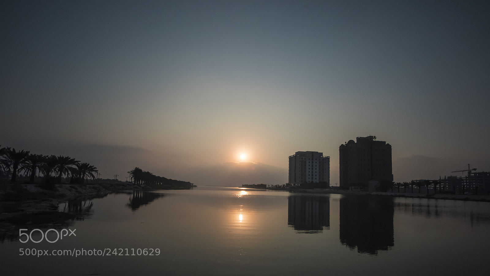 Nikon D810 sample photo. Morning photography