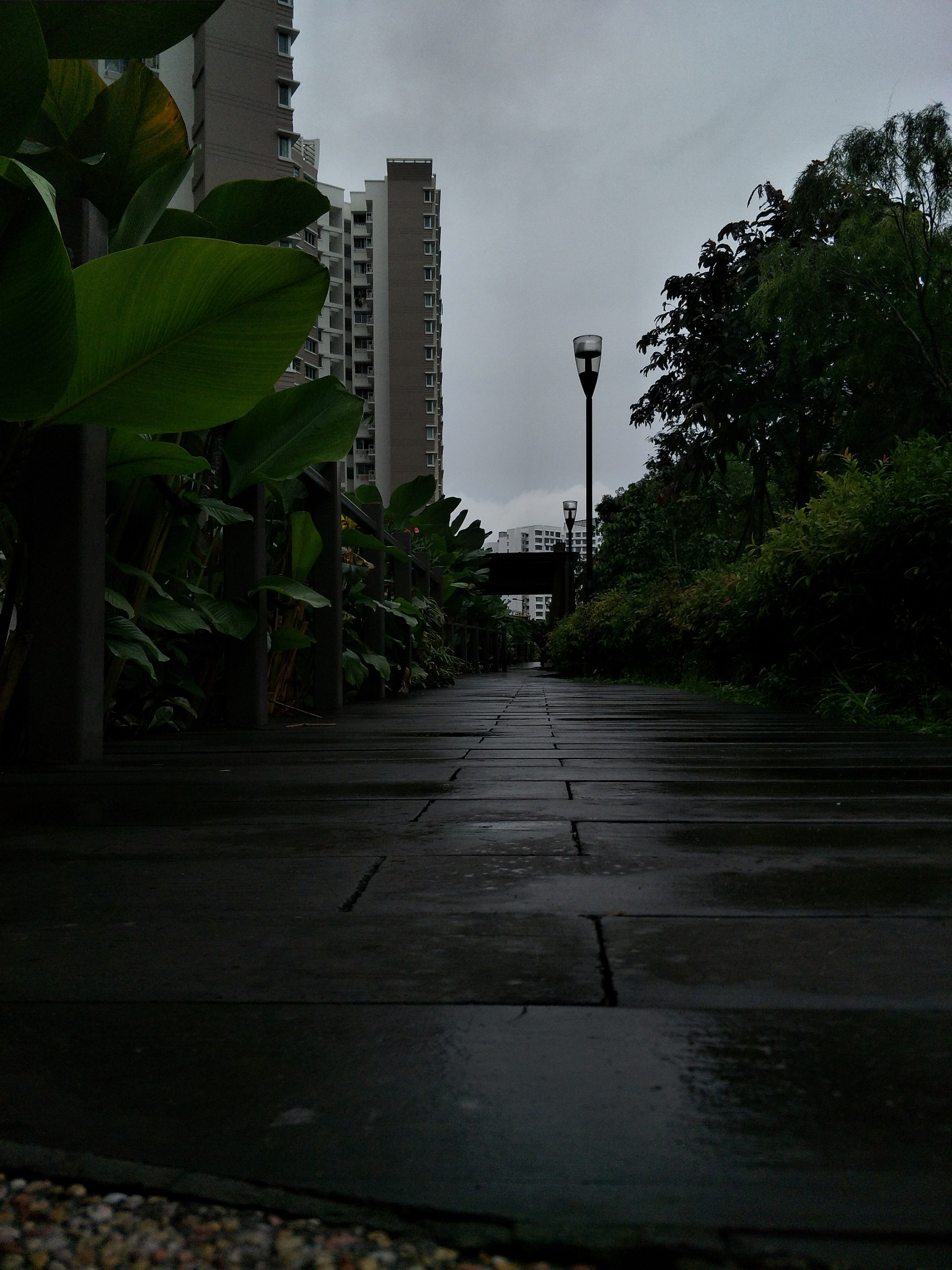 OPPO R9S sample photo. No. 1 photography