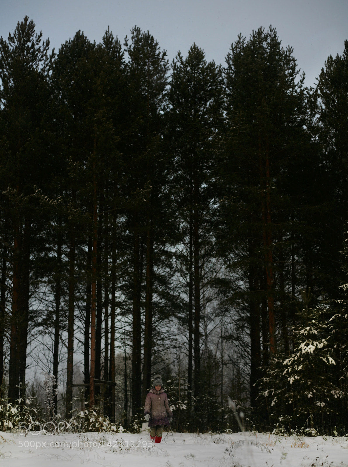 Canon EOS 5D sample photo. 36 photography