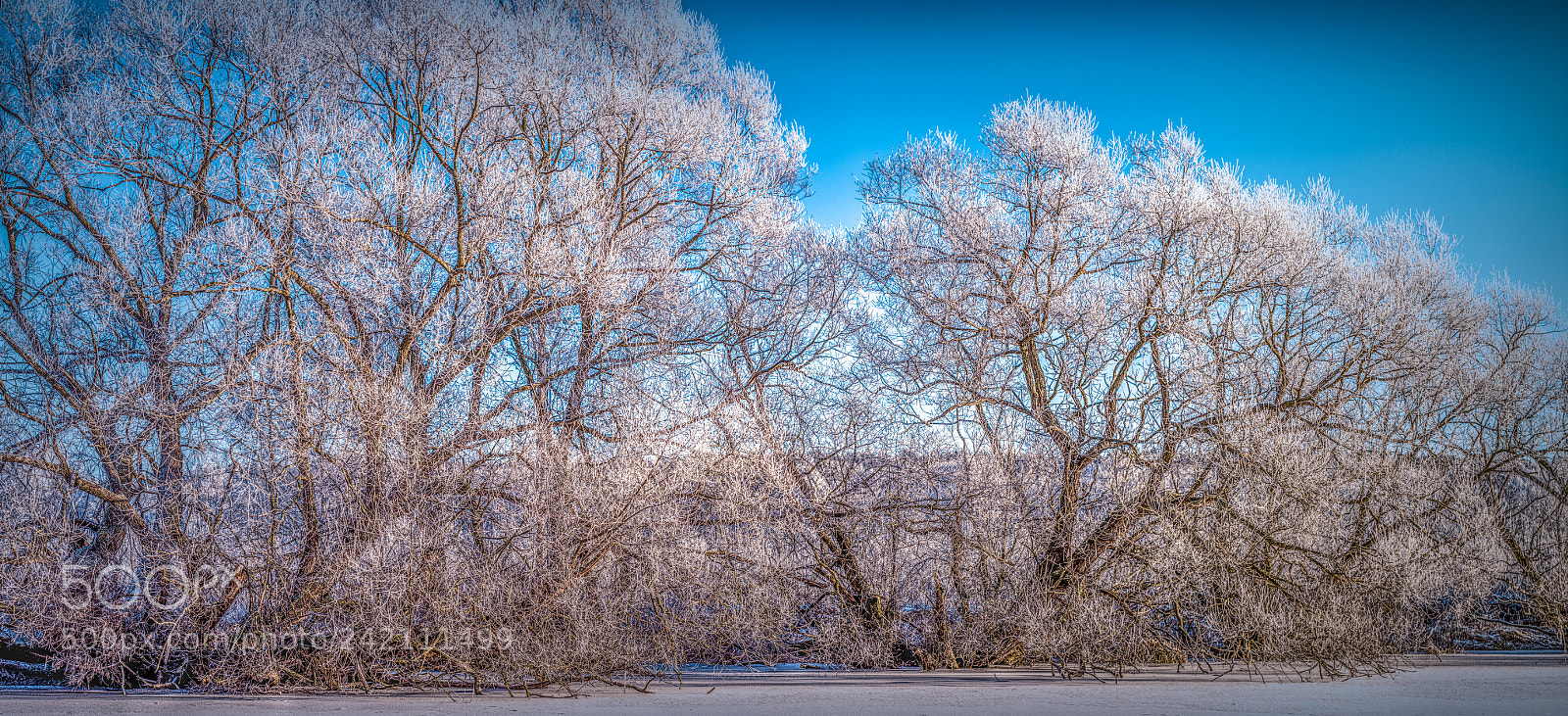 Canon EOS 5DS R sample photo. Other side photography
