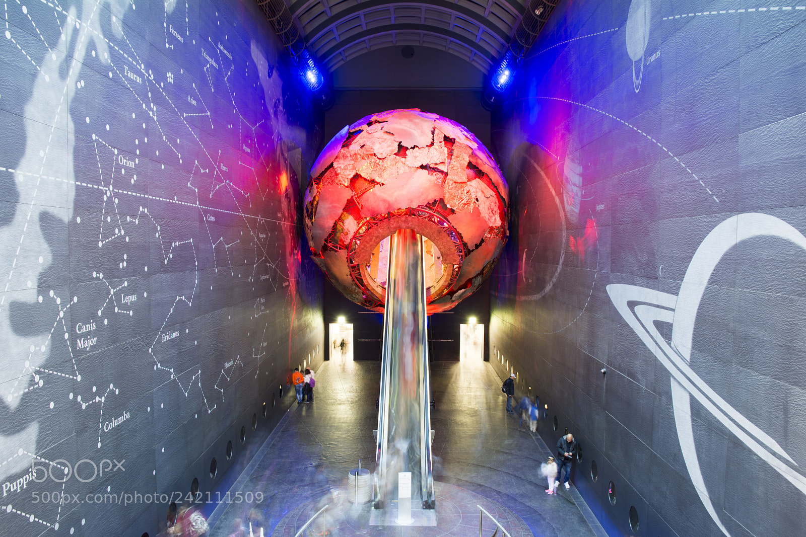 Nikon D7100 sample photo. Natural history museum photography
