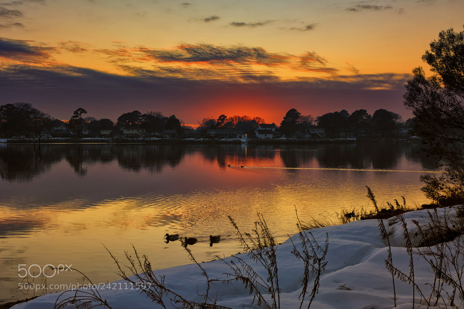 Nikon D7100 sample photo. Golden winter sunset photography