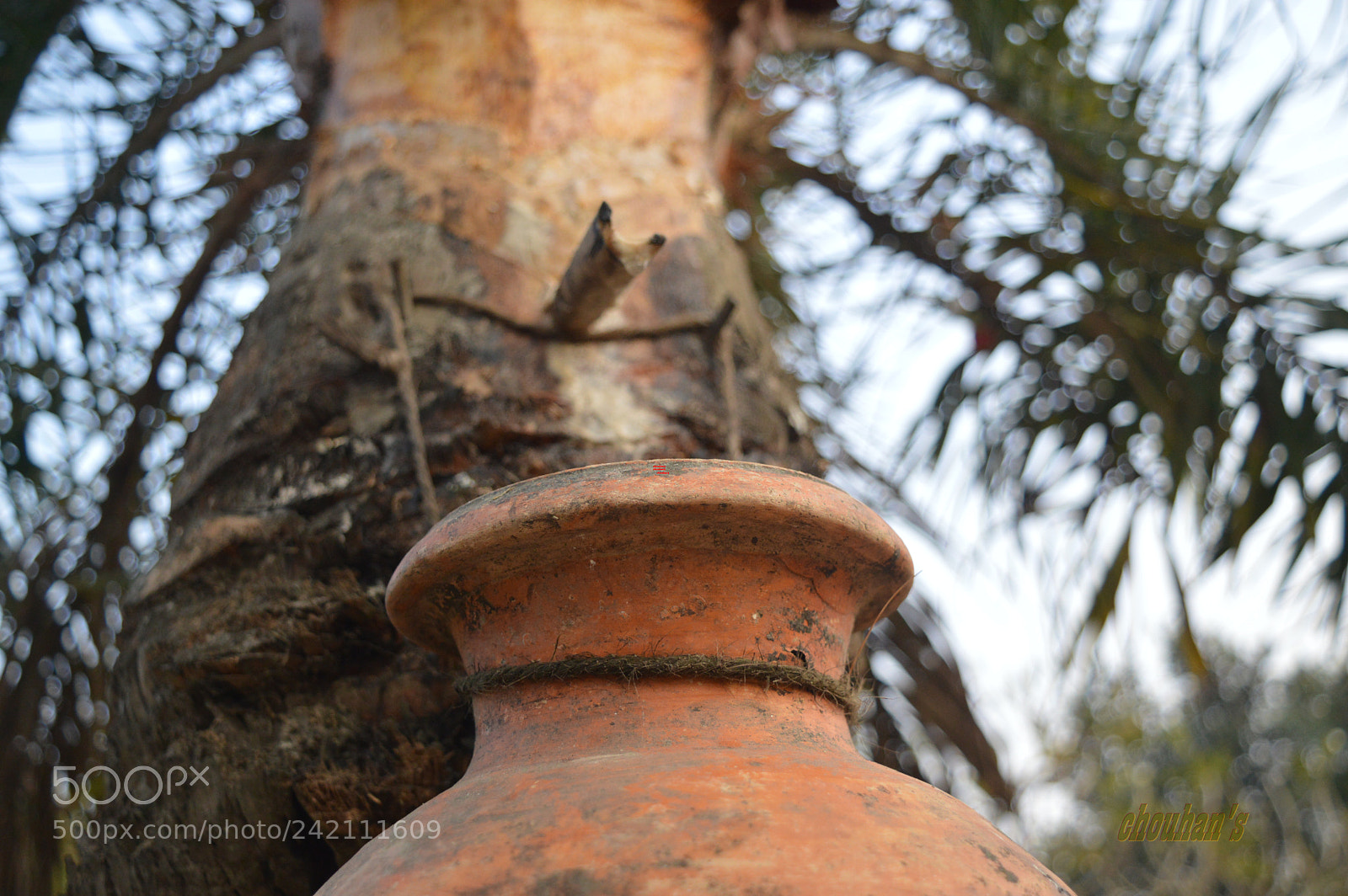 Nikon D3200 sample photo. Date juice.. photography