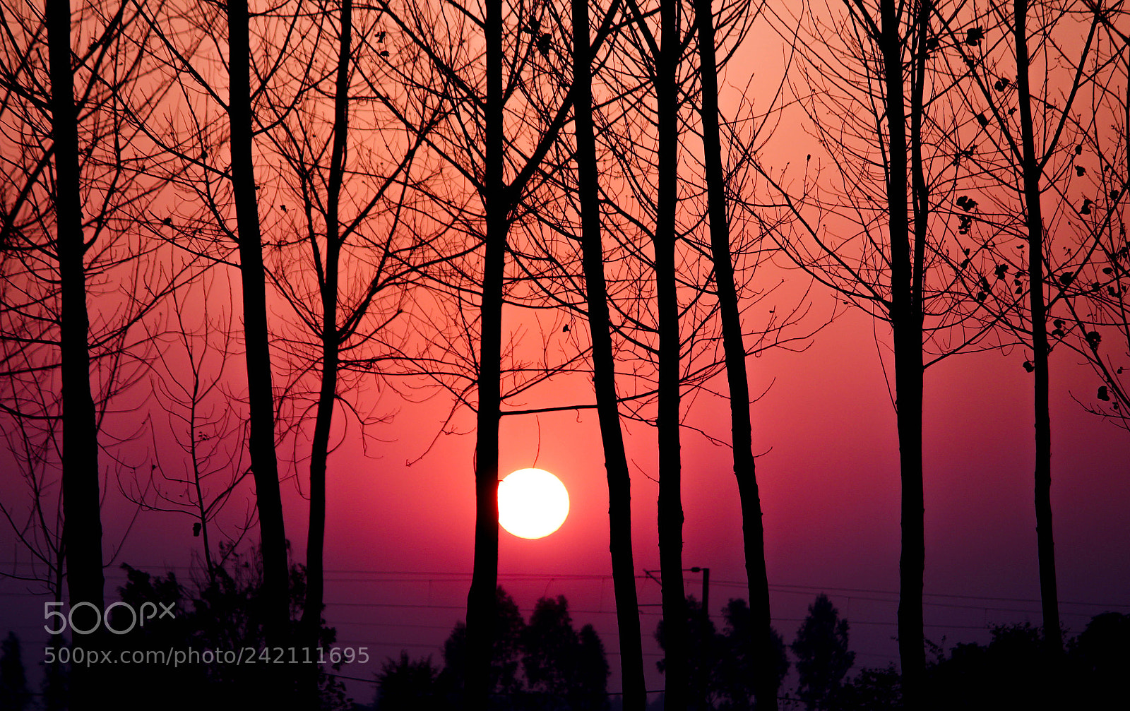 Canon EOS 1300D (EOS Rebel T6 / EOS Kiss X80) sample photo. Sunsets at chandigarh photography