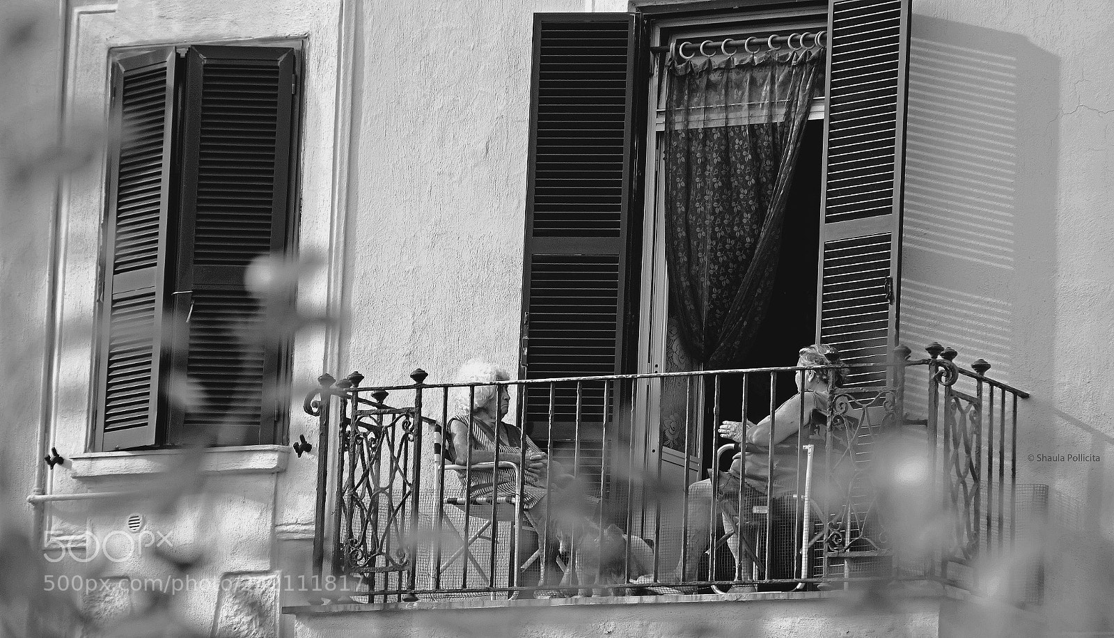 Sony Alpha a3000 sample photo. Untitled photography
