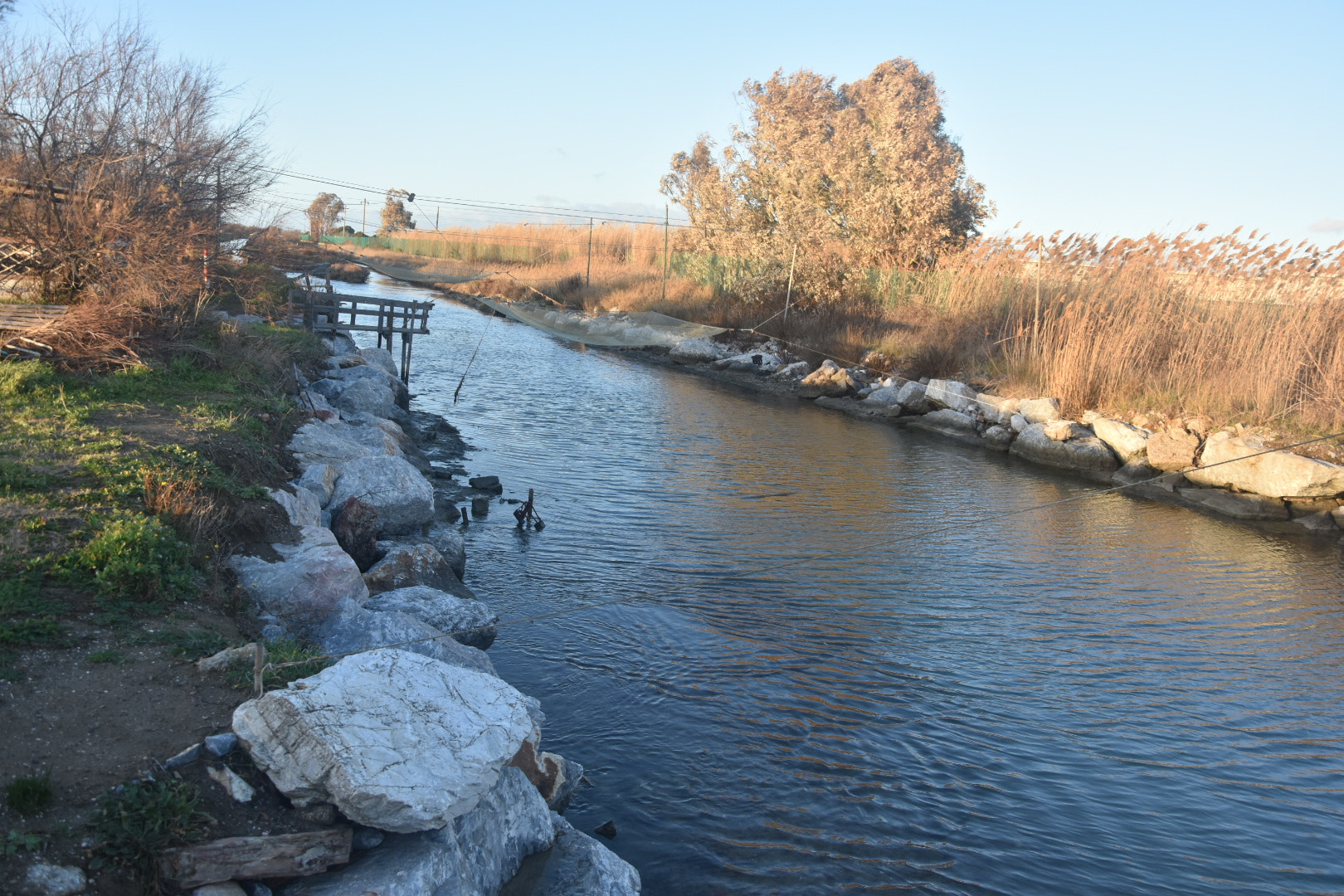Nikon D3400 sample photo. 39432153451.jpg photography