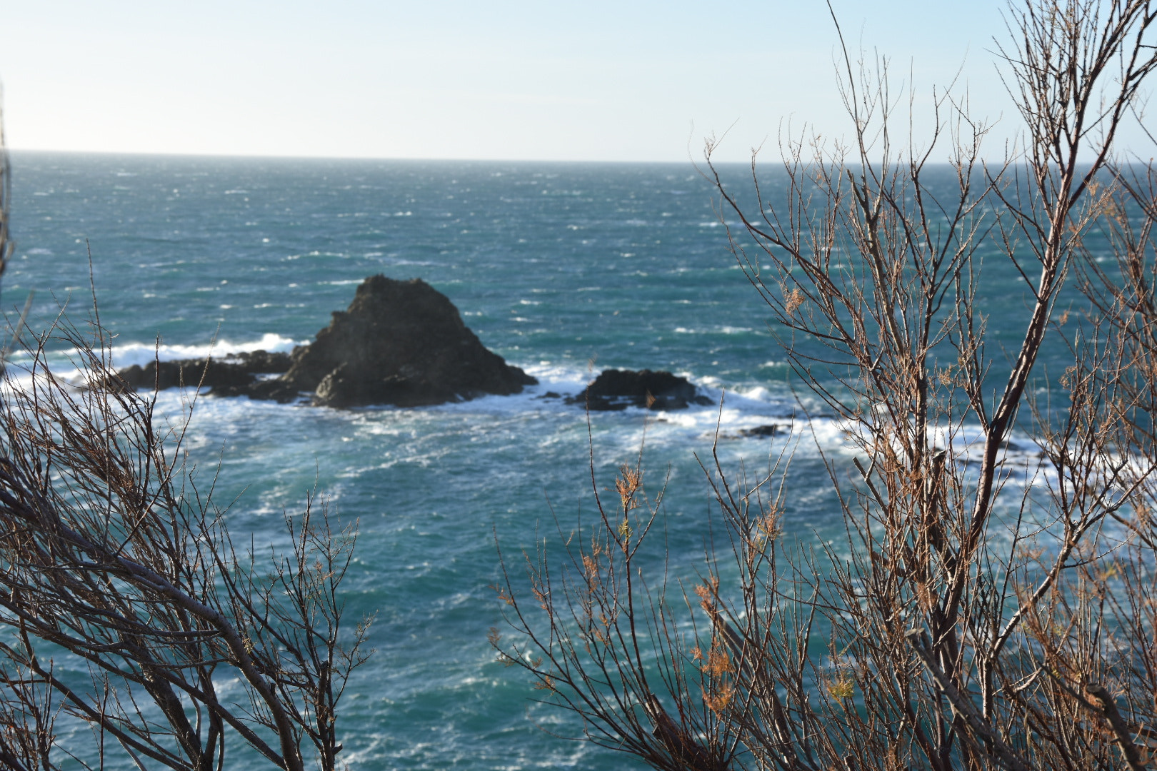 Nikon D3400 sample photo. 27655206089.jpg photography