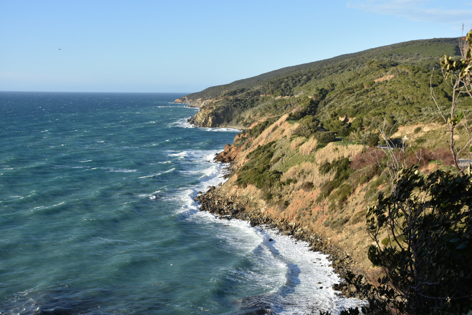 Nikon D3400 sample photo. 39432109791.jpg photography